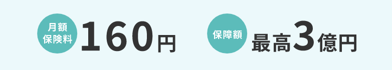 月額 保険料 160円 保障額 最高3億円