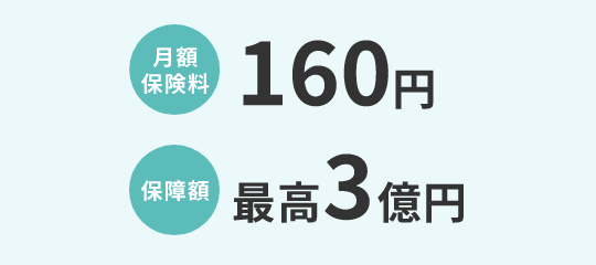 月額 保険料 160円 保障額 最高3億円