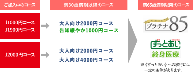 30歳満期以降の保障のご案内