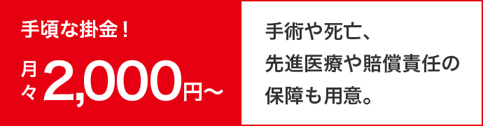 手頃な掛金！月々2,000円~ 手術や死亡、先進医療や賠償責任の保障も用意。